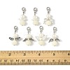 14Pcs 7 Styles ABS Plastic Imitation Pearl & Alloy Pendant Decorations HJEW-FS00042-02-5
