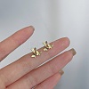 Alloy Earrings for Women FS-WG98937-105-1