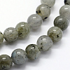 Natural Labradorite Beads Strands G-I199-15-6mm-4