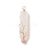 Natural Mixed Stone Big Pendants PALLOY-JF01557-2