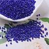 MIYUKI Delica Beads SEED-JP0008-DB0216-1
