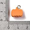 Halloween Theme Opaque Resin Charms RESI-D075-01L-3