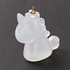 Acrylic Pendants TACR-P002-03B-02-2