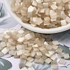 MIYUKI TILA Beads SEED-JP0008-TL2593-4