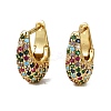 Oval Brass Micro Pave Colorful Cubic Zirconia Hoop Earrings EJEW-S277-10G-B-4