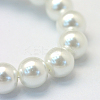 Baking Paint Pearlized Glass Pearl Round Bead Strands HY-Q003-14mm-01-3