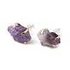 Raw Rough Natural Amethyst Stud Earrings EJEW-R148-01LG-01-2