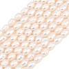 Natural Cultured Freshwater Pearl Beads Strands PEAR-D003-01D-06-2