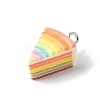 3D Rainbow Cake Resin Pendants LS-RESI-V002-01-2