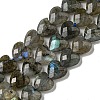 Natural Labradorite Beads Strands G-P544-E01-01-1
