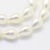 Shell Pearl Beads Strands BSHE-P024-05-3