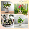 2 Bags Wooden Plant Labels DIY-CP0012-70-4