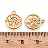 304 Stainless Steel Charms STAS-N109-90G-3