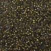 TOHO Round Seed Beads SEED-JPTR11-0262-2