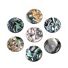 Natural Paua Shell Beads SSHEL-N040-20B-1