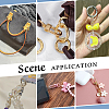 Alloy Clasps Sets FIND-PH0018-31-6
