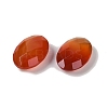 Natural Red Agate(Dyed & Heated) Cabochons G-O175-15C-01-2