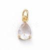Brass Micro Pave Cubic Zirconia Pendants ZIRC-E164-64G-D-1