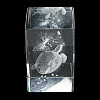 3D Laser Engraving Animal Glass Figurine LS-DJEW-R013-01D-2