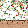 Baking Paint Glass Seed Beads X-SEED-S042-05B-51-4