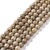 Natural Maifanite/Maifan Stone Beads Strands G-I187-6mm-01-1