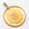 Alloy Resin Pendants LS-X-RESI-S321-06-1