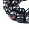 Natural Cultured Freshwater Pearl Beads Strands PEAR-P064-19L-01A-4
