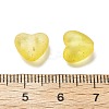 Frosted Transparent Acrylic Beads LS-OACR-F013-09-3