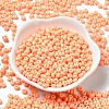Baking Paint Glass Seed Beads SEED-B001-02A-16-2