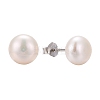 Anti-Tarnish Pearl Ball Stud Earrings EJEW-Q701-01B-4