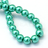 Baking Paint Pearlized Glass Pearl Round Bead Strands HY-Q003-14mm-29-4
