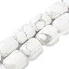 Natural Howlite Beads Strands G-K357-D05-01-1