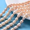 Natural Cultured Freshwater Pearl Beads Strands PEAR-R064-19-1