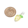 Tulip Acrylic Pendant Decorations HJEW-JM03082-02-5