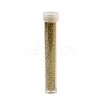 Plastic Glitter Powder Fillers LS-AJEW-H144-01A-2