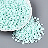 Opaque Glass Seed Beads SEED-N012-09A-06-1