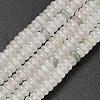 Natural Tianshan Cui Quartzite Beads Strands G-L635-A06-4x2mm-3