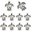 10Pcs Natural Paua Shell Connector Charms SHEL-YW0001-16-1