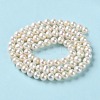 Natural Pearl Beads Strands PEAR-E018-99-3