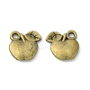 Tibetan Style Alloy Fruit Charms LS-X-TIBEP-3924-AB-NR-1