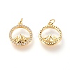 Brass Micro Pave Clear Cubic Zirconia Charms ZIRC-L098-025G-2