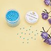 8/0 Round Glass Seed Beads SEED-PH0005-05-8
