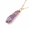 Double Pointed Natural Amethyst Pendant Necklace NJEW-JN03720-02-1