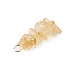 10Pcs 5 Colors 12 Constellation Natural Citrine & Golden Sheen Obsidian & Rose Quartz & Gold Rutilated Quartz & South Red Agate Pendants PALLOY-JF02839-06-5