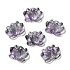Transparent Glass Connector Charms GLAA-A015-01B-1