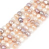 Natural Cultured Freshwater Pearl Beads Strands PEAR-P064-19G-02M-2