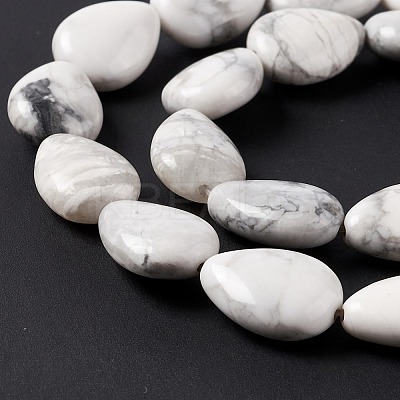 Natural Howlite Beads Strands G-L242-13-1