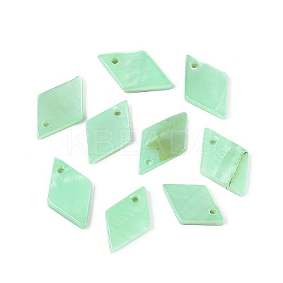 Spray Painted Natural Freshwater Shell Pendants BSHE-T014-07D-1