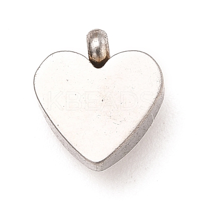 304 Stainless Steel Charms STAS-I165-05P-09-1