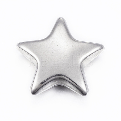 Tarnish Resistant 304 Stainless Steel Beads STAS-G179-10P-1